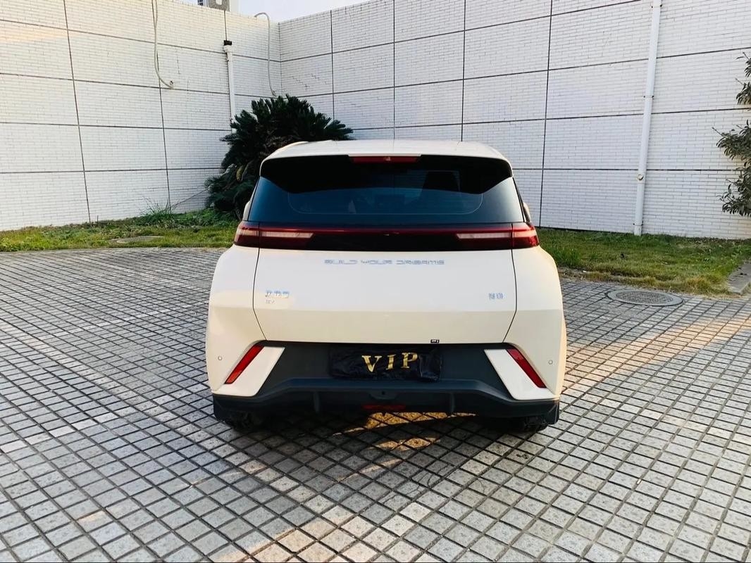 Byd Seagull 2024 Honor Edición 305km Edición gratuita Coche eléctrico Vehículos de nueva energía