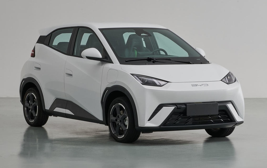 Coches eléctricos usados multicolores opcionales de segunda mano Byd delfines focalas gaviotas vendidas