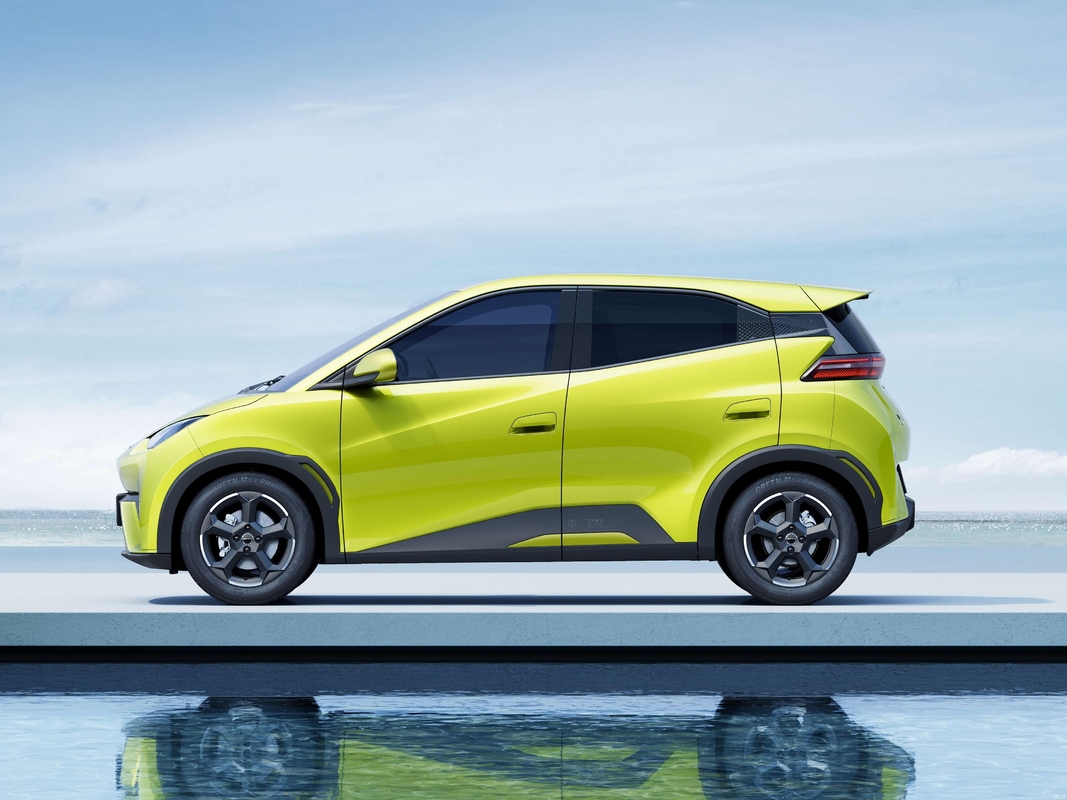 Coches eléctricos usados multicolores opcionales de segunda mano Byd delfines focalas gaviotas vendidas