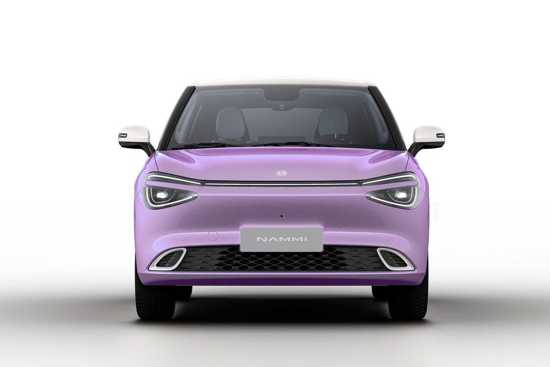 Auto 4 asientos Dongfeng Nami Box nuevo vehículo de energía 4 ruedas coche eléctrico vehículos para adultos fabricados en China Ev Auto de alta velocidad 100km/h